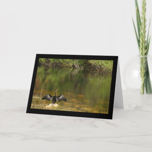 Anhinga in the Everglades Greeting Card
