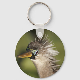 Anhinga Keychain