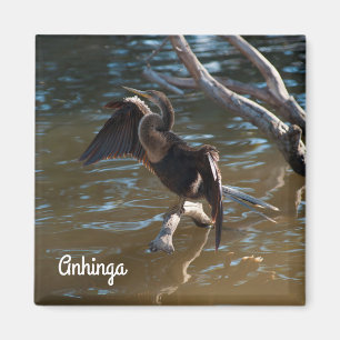 Anhinga Magnet
