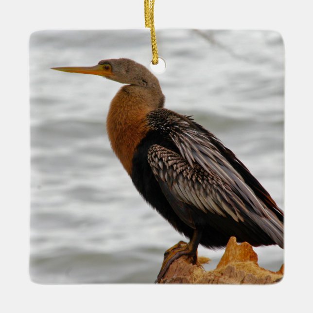 Anhinga On The Lookout Ceramic Ornament (Front)