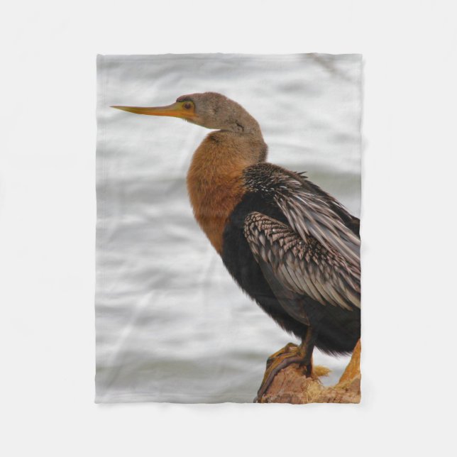 Anhinga On The Lookout Fleece Blanket (Front)