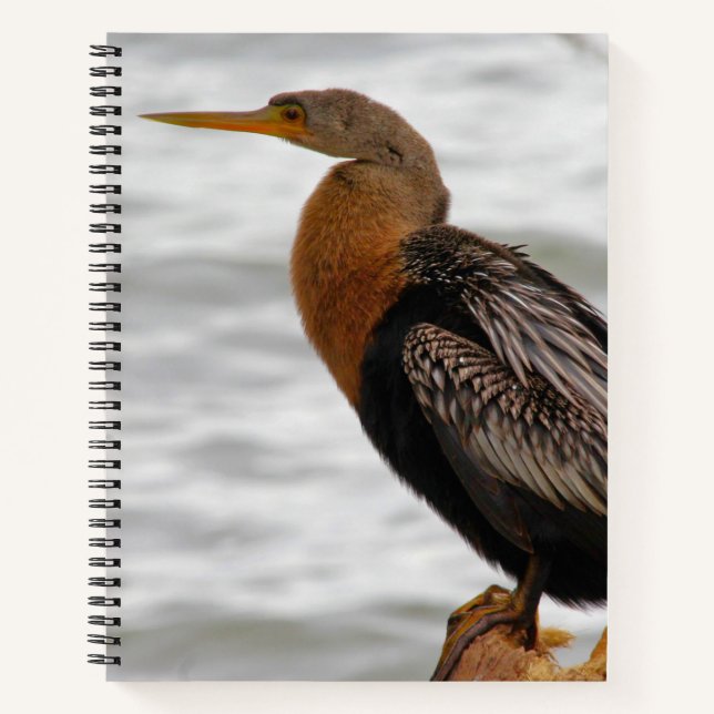 Anhinga On The Lookout Notebook (Front)