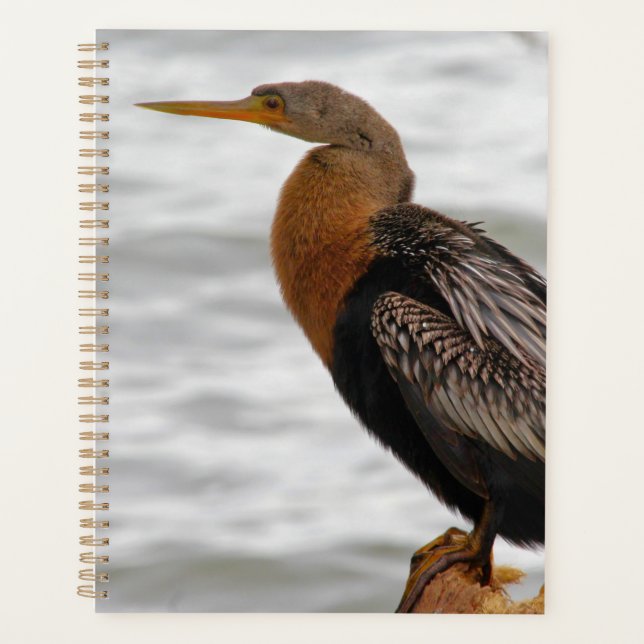 Anhinga On The Lookout Planner (Front)