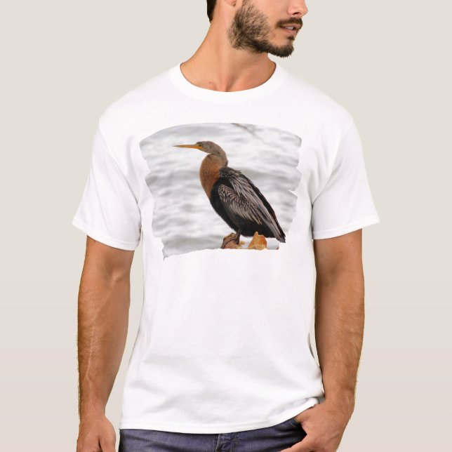 Anhinga On The Lookout T-Shirt (Front)