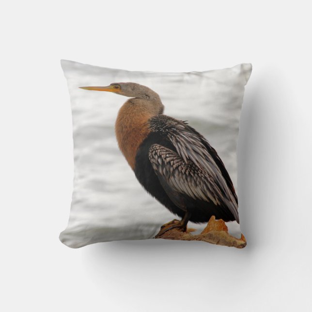 Anhinga On The Lookout Throw Pillow (Front)