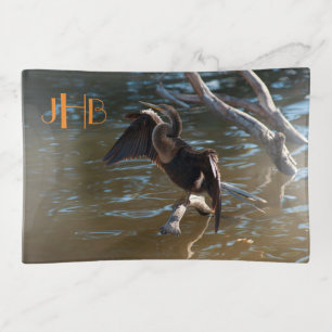 Anhinga Trinket Tray