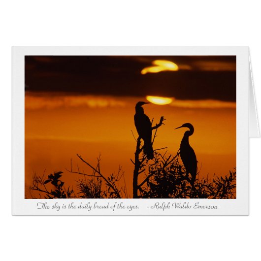 Anhingas at Sunrise Cards (Front Horizontal)