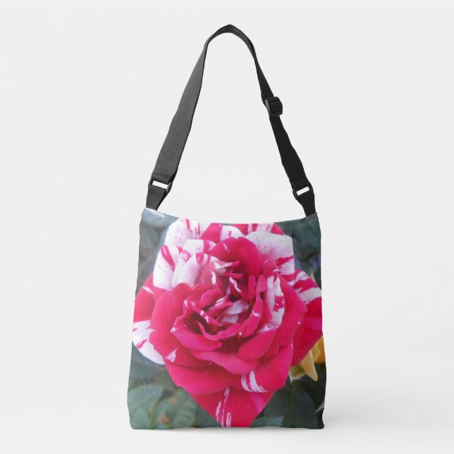 Anicia Crossbody Bag (Front)