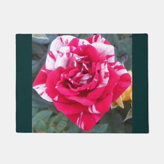 Anicia Doormat (Front)