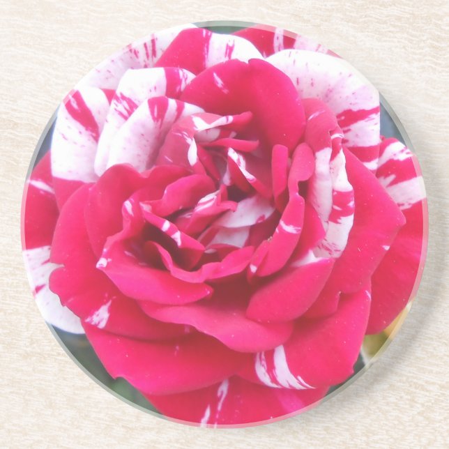 Anicia Drink Coaster (Front)