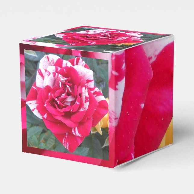 Anicia Favor Boxes (Front Side)