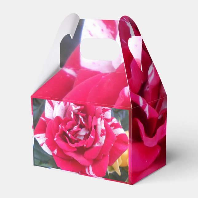 Anicia Favor Boxes (Back Side)