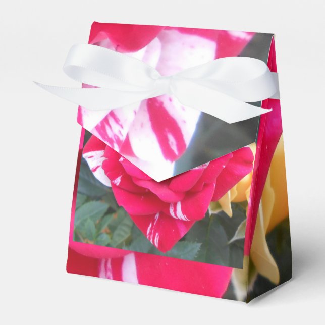 Anicia Favor Boxes (Front Side)