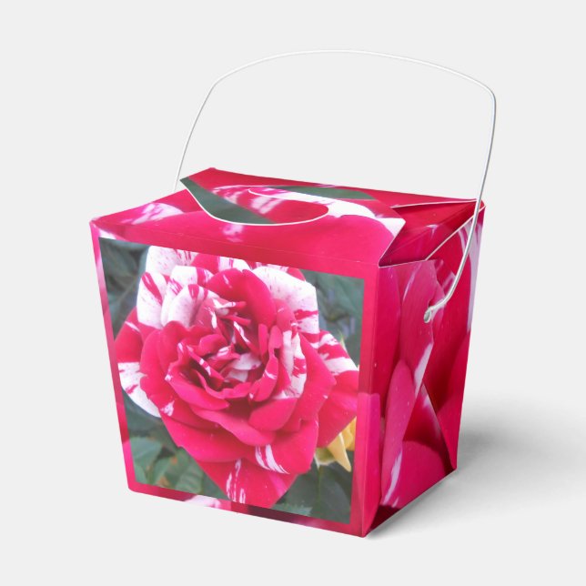Anicia Favor Boxes (Front Side)