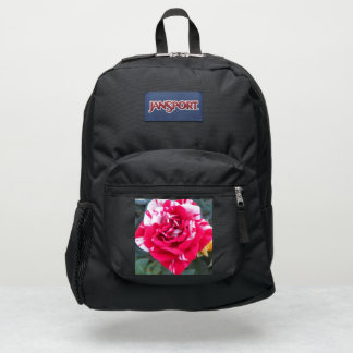 Anicia JanSport Backpack