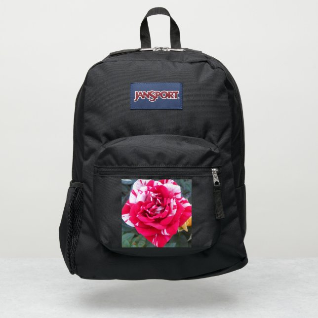 Anicia JanSport Backpack (Front)