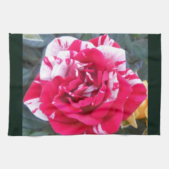 Anicia Kitchen Towel (Horizontal)