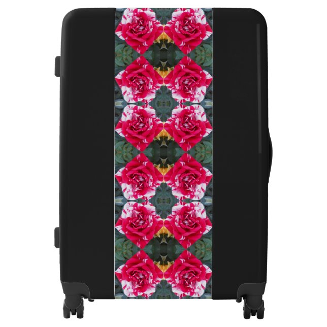 Anicia Luggage (Front)