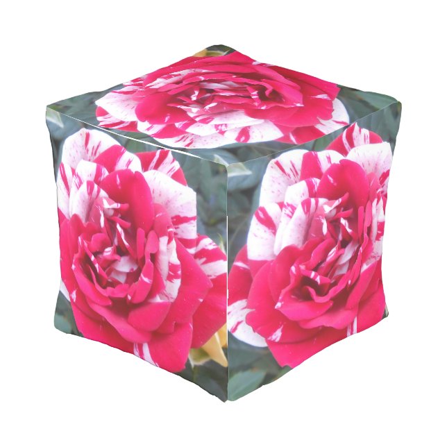 Anicia Outdoor Pouf (Angled Back)