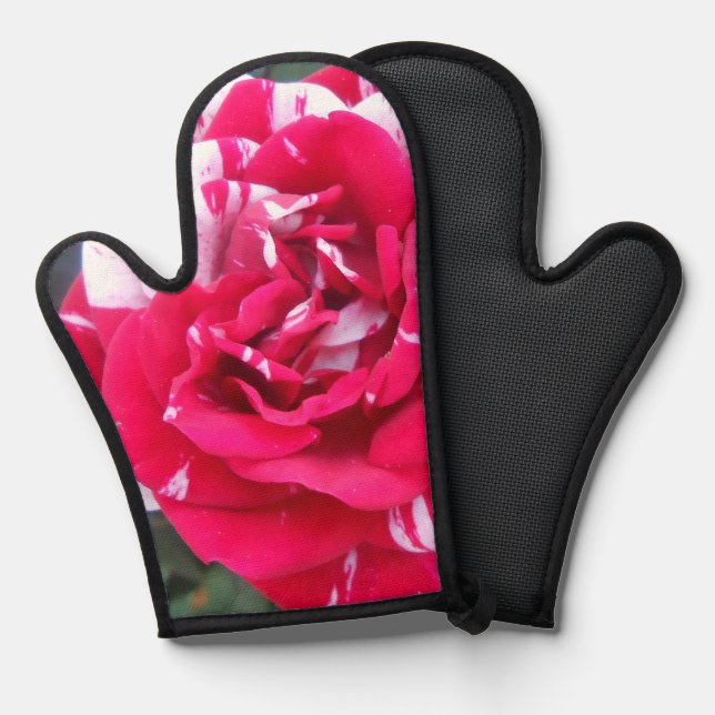 Anicia Oven Mitt (Front/Back)