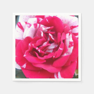Anicia Paper Napkins