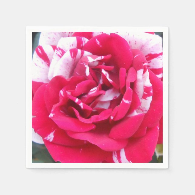 Anicia Paper Napkins (Front)