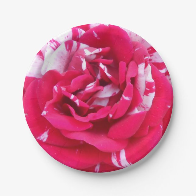 Anicia Paper Plates (Front)