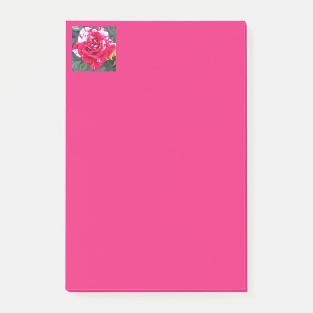 Anicia Post-it Notes (Front)