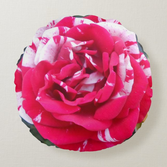 Anicia Round Pillow (Front)