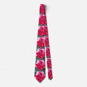 Anicia Tie