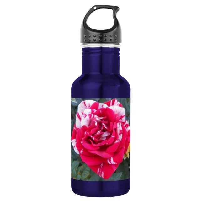 Anicia Water Bottle (Front)