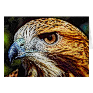 Animal03 Cards