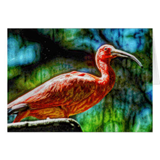 Animal04 Cards