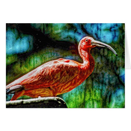 Animal04 Cards (Front Horizontal)