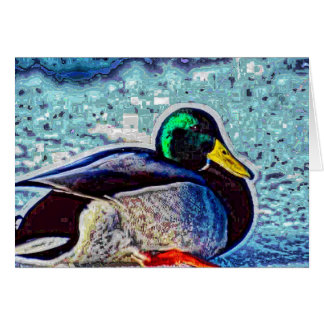 Animal08 Cards