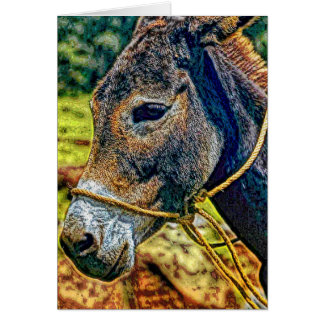 Animal19 Cards