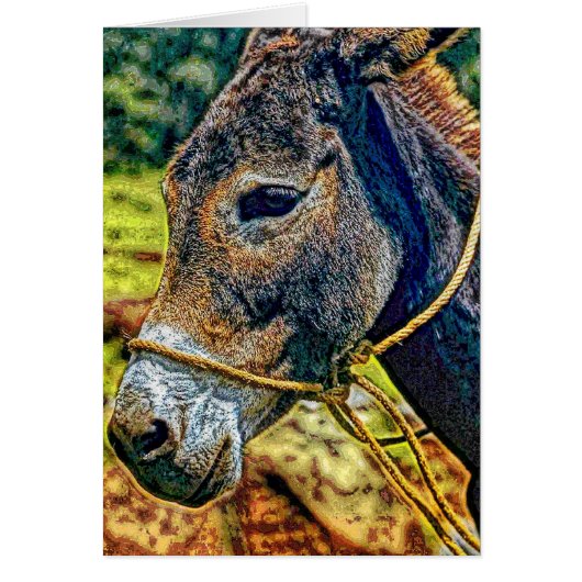 Animal19 Cards (Front)