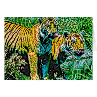 Animal27 Cards