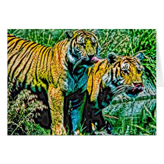 Animal27 Cards (Front Horizontal)
