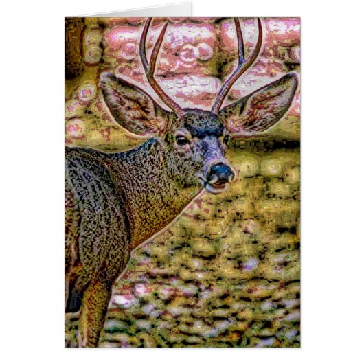 Animal29 Cards (Front)