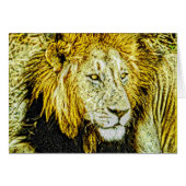 Animal31 (Front Horizontal)