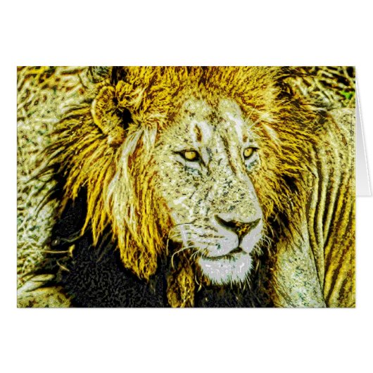 Animal31 Cards (Front Horizontal)