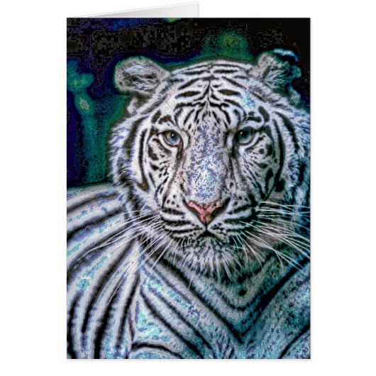 Animal33 Cards (Front)