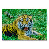 Animal34 (Front Horizontal)