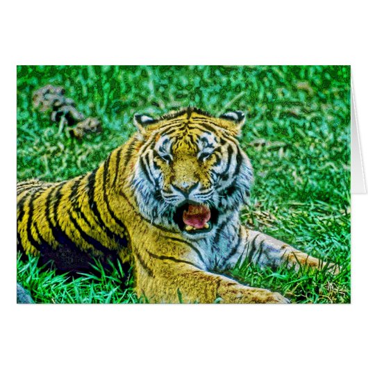 Animal34 Cards (Front Horizontal)