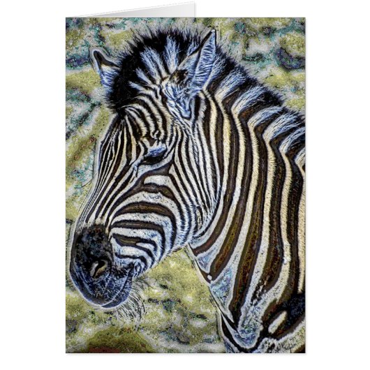 Animal36 Cards (Front)