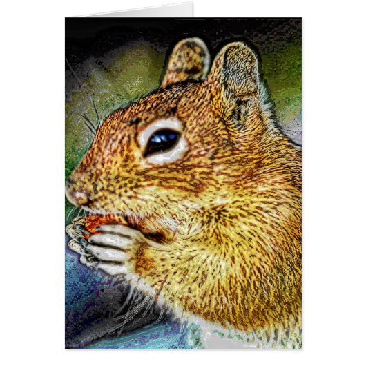 Animal43 Cards (Front)