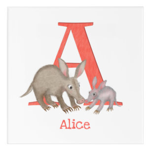 Animal ABC A is for aardvark acrylic print