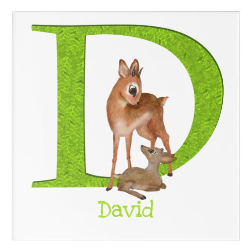 Animal ABC D is for dik_dik acrylic print