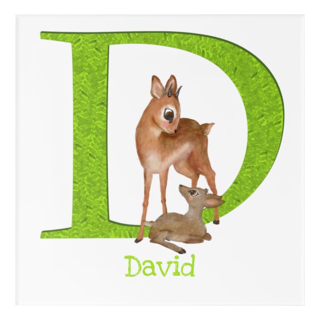 Animal ABC D is for dik-dik acrylic print (Front)